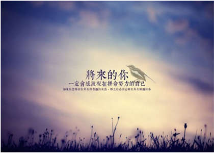安徽大学考研资讯